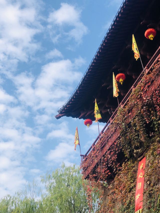 杭州城下白娘子,宋城千年出凡尘  小白成名比皮卡晨早得多,但并没有红