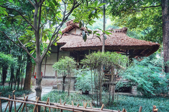 抽空旅行:一个人,在成都