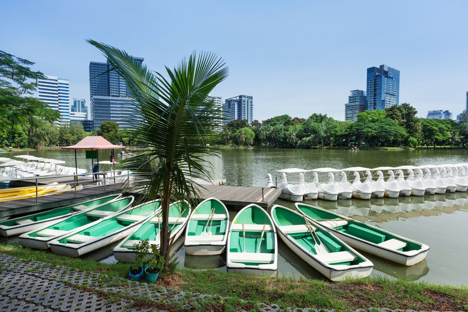 泰国曼谷 蓝毗尼公园 สวนลุมพินี
