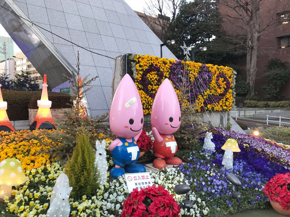 东京三日游哉游美食景点逛街都不误自由行- 东