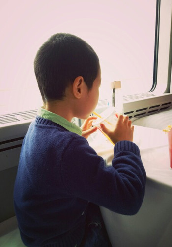 嘎仔成长记录旅行篇之广州长隆