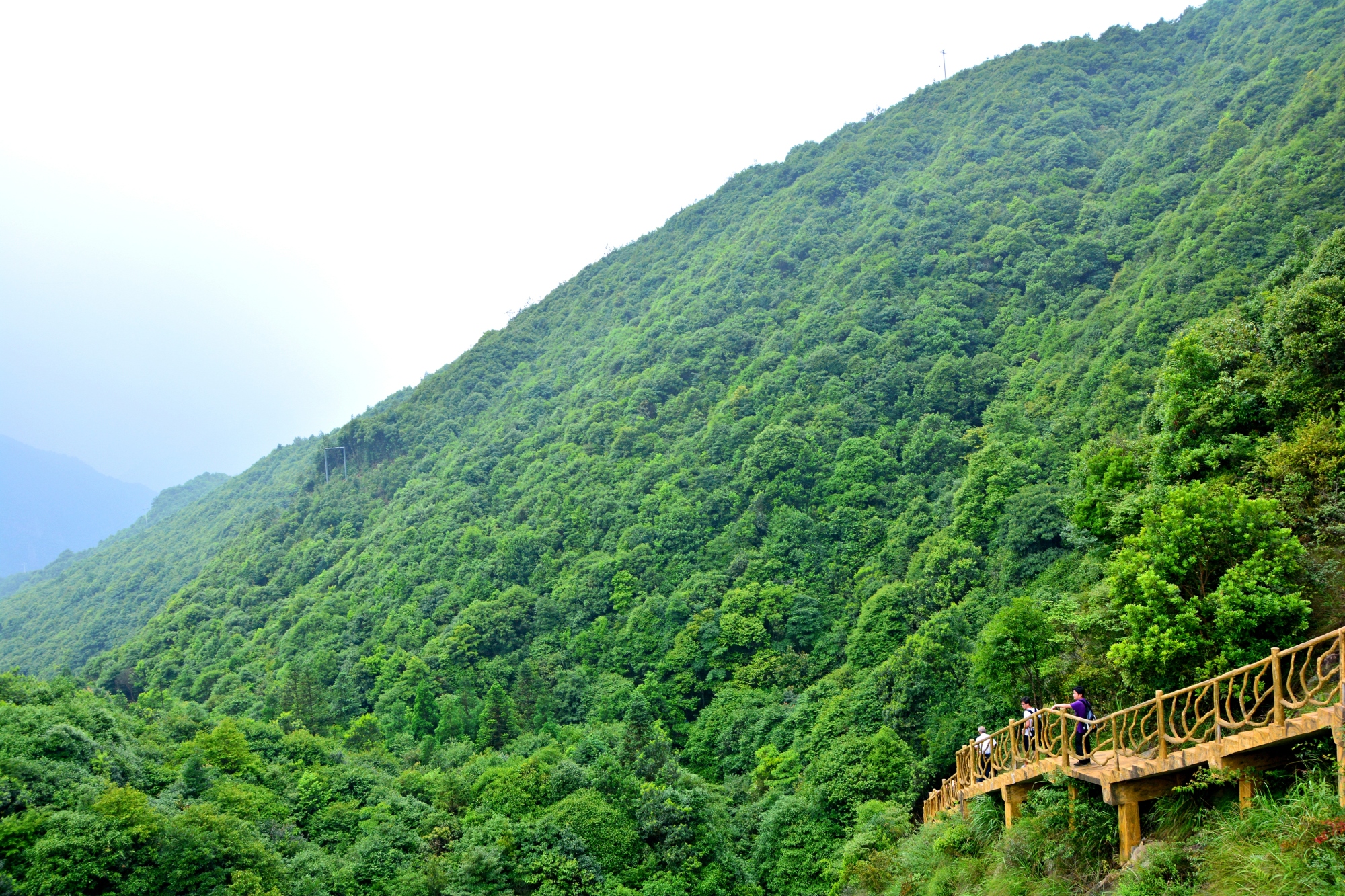 福州云顶一日游(纯玩无购物 含缆车 门票 导游)