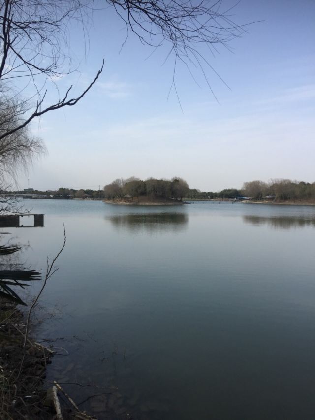 崇明區瀛東村攻略,崇明區瀛東村門票/遊玩攻略/地址/圖片/門票價格