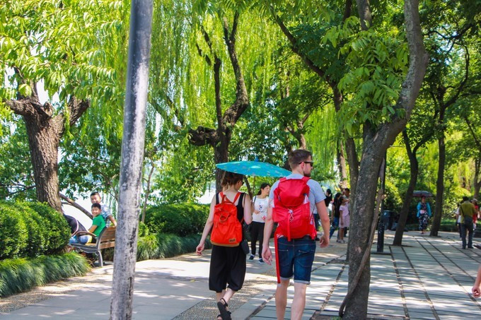 成语什么枝独秀_成语故事简笔画(3)