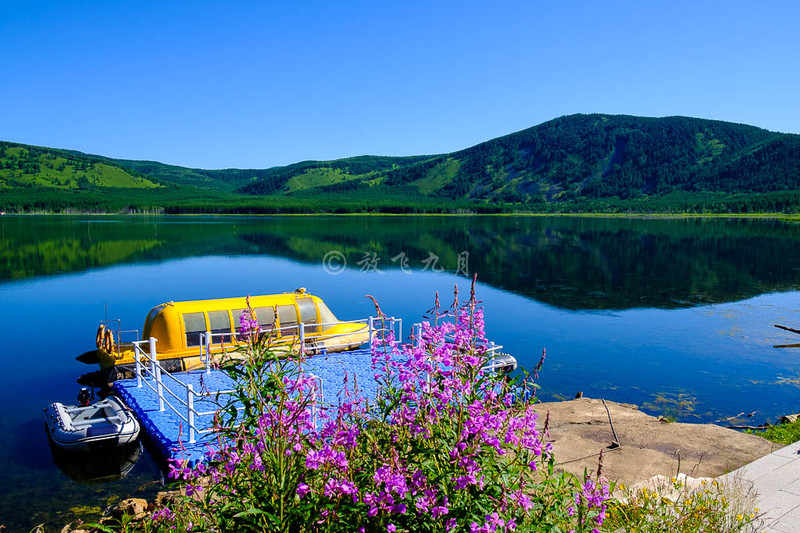 花海避暑游玩攻略,花海避暑游玩攻略大全