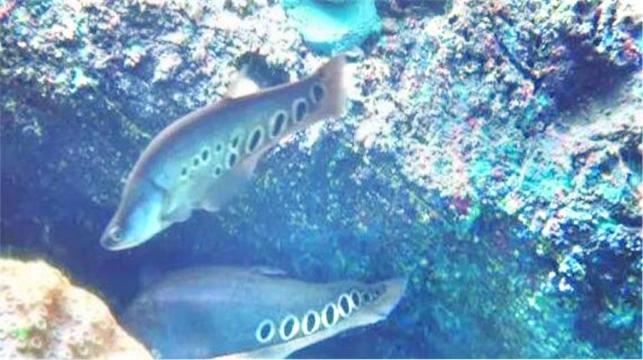 莫尼山泉小镇海洋世界