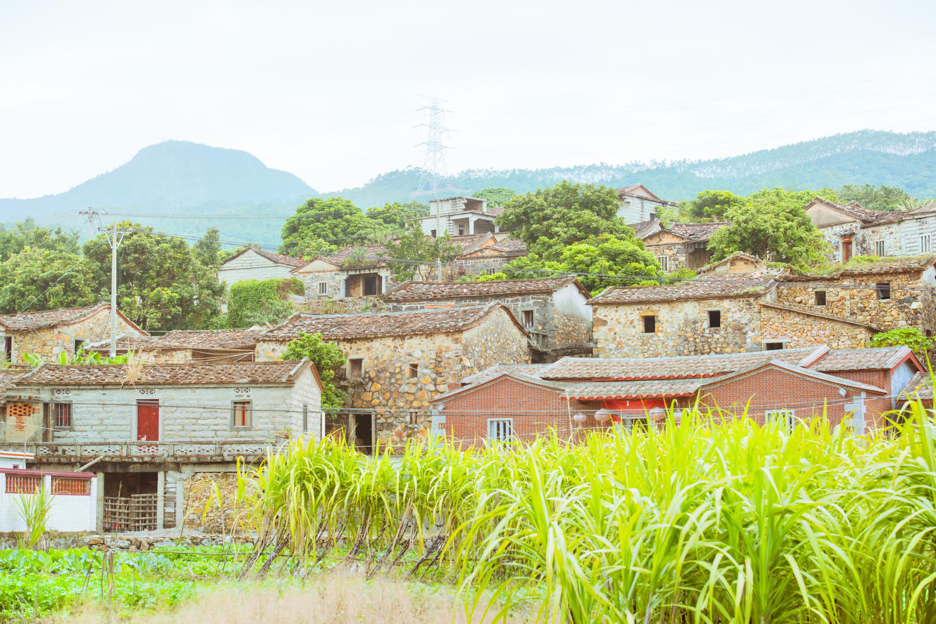 樟脚村