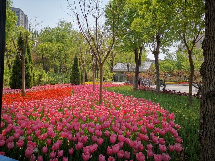 花溪地公园