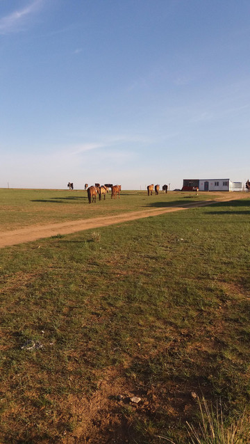 夕阳晨曦中的草原美景足以醉人,宫廷诈马宴酒不醉人