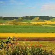 请问六月底北极村和阿里河的气温,穿什么衣服