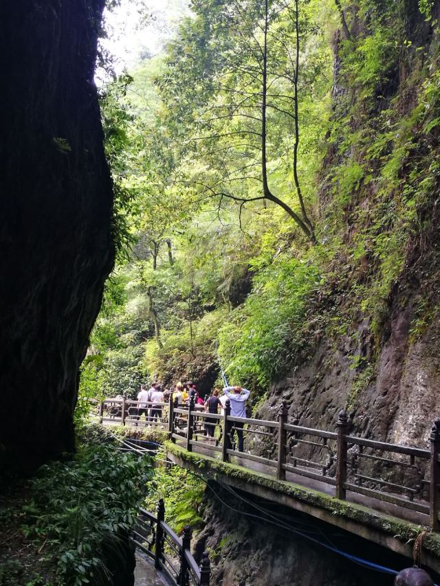 峨眉山黑龙江栈道攻略,峨眉山黑龙江栈道门票/游玩攻略/地址/图片