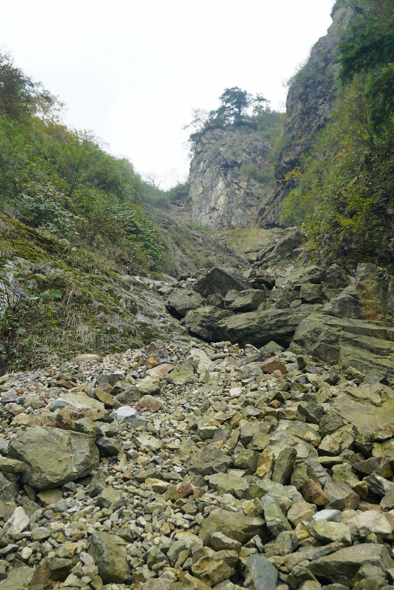 彭州九峰山登顶要多久 100g1900000178dqs6FA7_R_800_10000_Q90.jpg?proc=autoorient