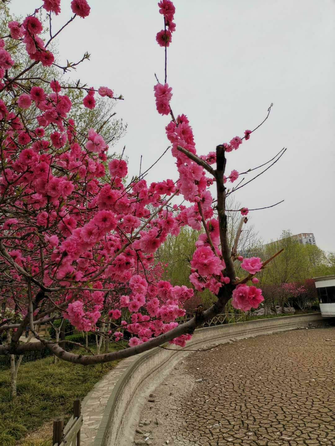 淄博人民公园