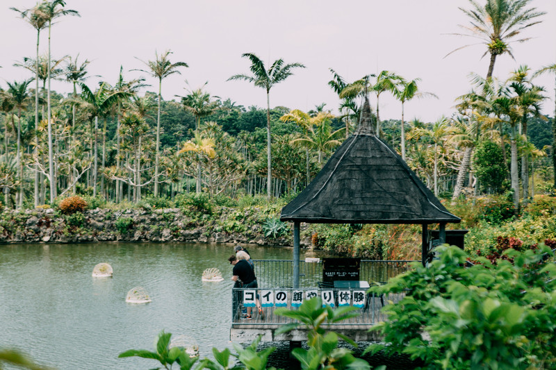 国境之南，恋恋冲绳，这是最不像日本的地方