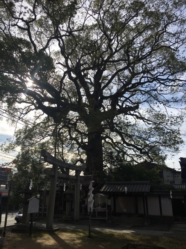 熊野若王子神社