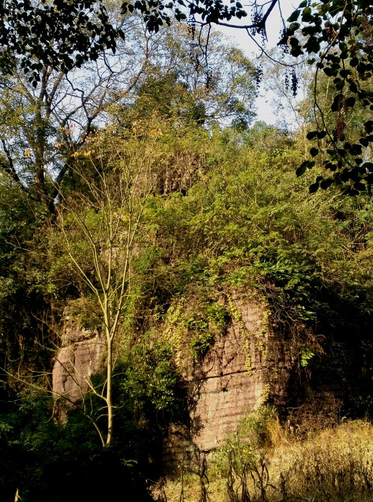 永顺不二门森林公园