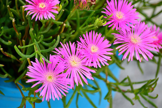 而岸上则是栉次邻比的酒吧餐馆和小店.