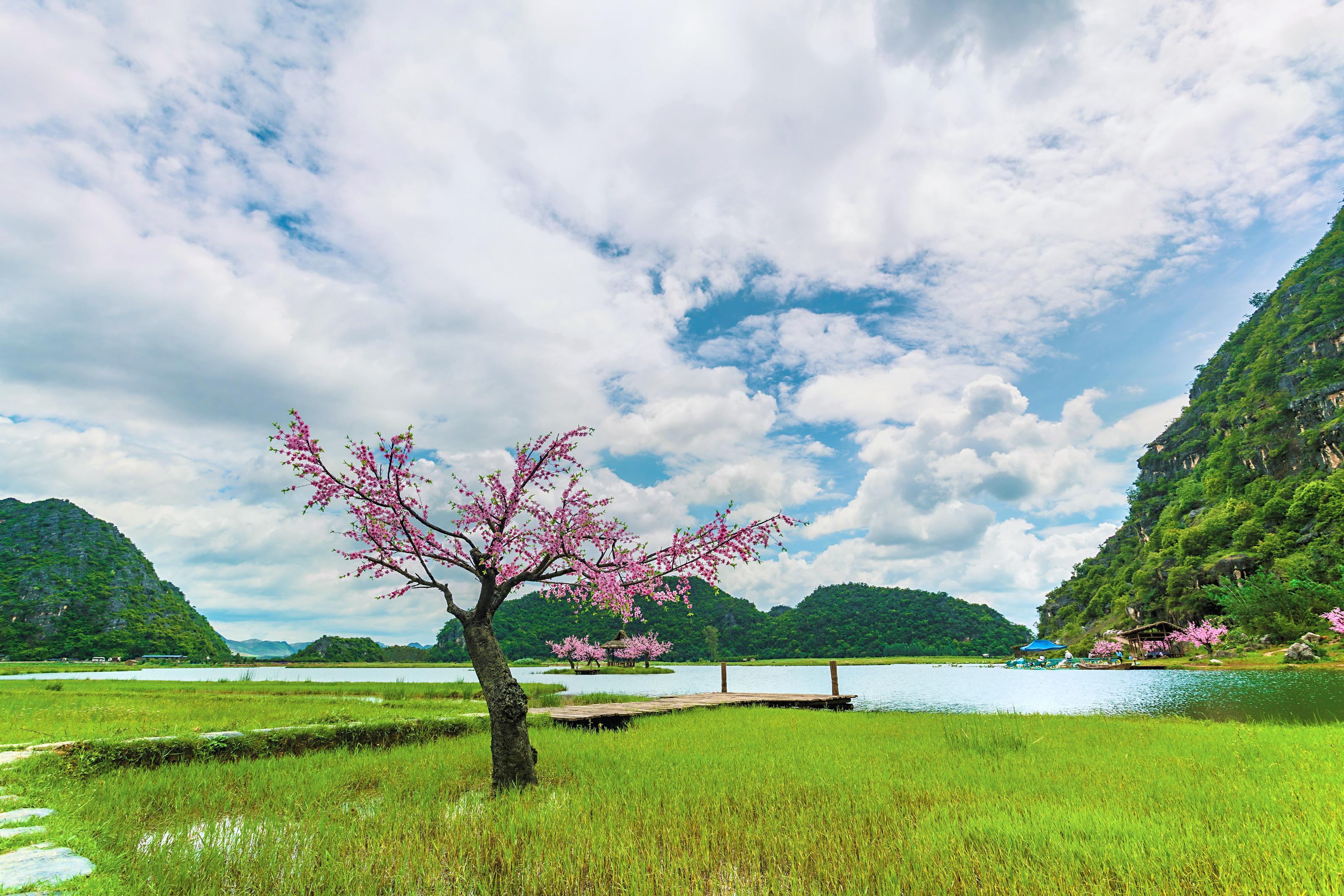 菜花箐苗族生态旅游村