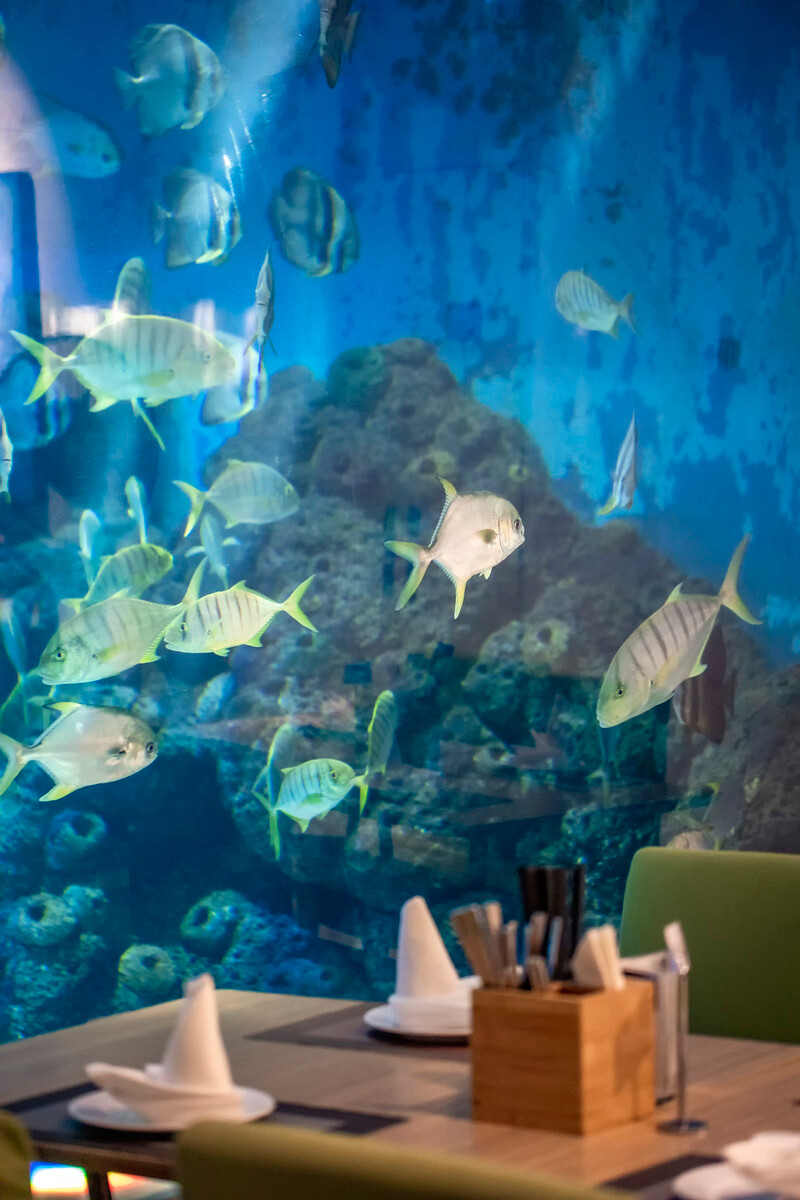 三亚哪些餐饮店开了？70：亚龙湾的海底餐厅吃海南菜 - 三亚游记攻略