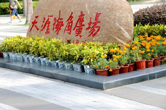 相遇,一切都是那么的完美。 - 三亚游记攻略【