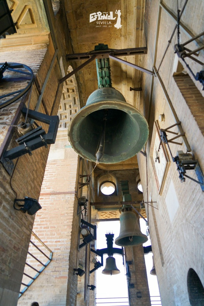 着这些百年的欧洲建筑 ▲抵达希尔达塔最高处,时常能听到敲钟的声音