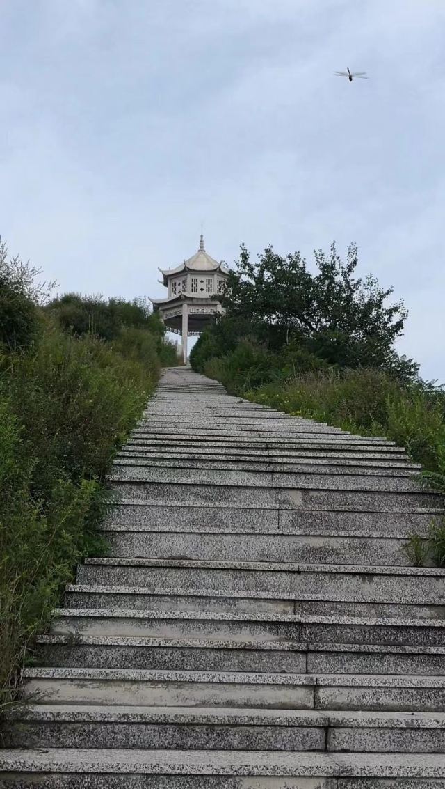 鹿泉区白草寺攻略,鹿泉区白草寺门票/游玩攻略/地址/图片/门票价格