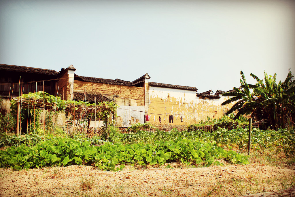 重庆悦行自驾--南平记忆13——博爱村
