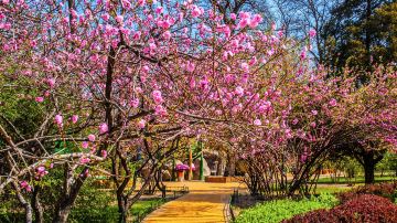 shutterstock_182253833 (1)