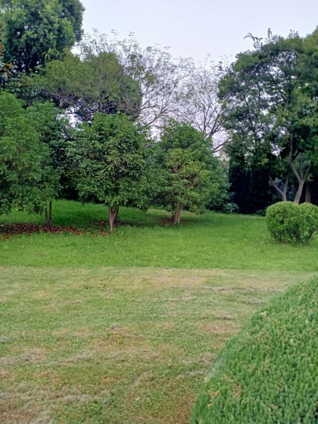 郓城黄泥岗攻略,郓城黄泥岗门票/游玩攻略/地址/图片/门票价格【携程