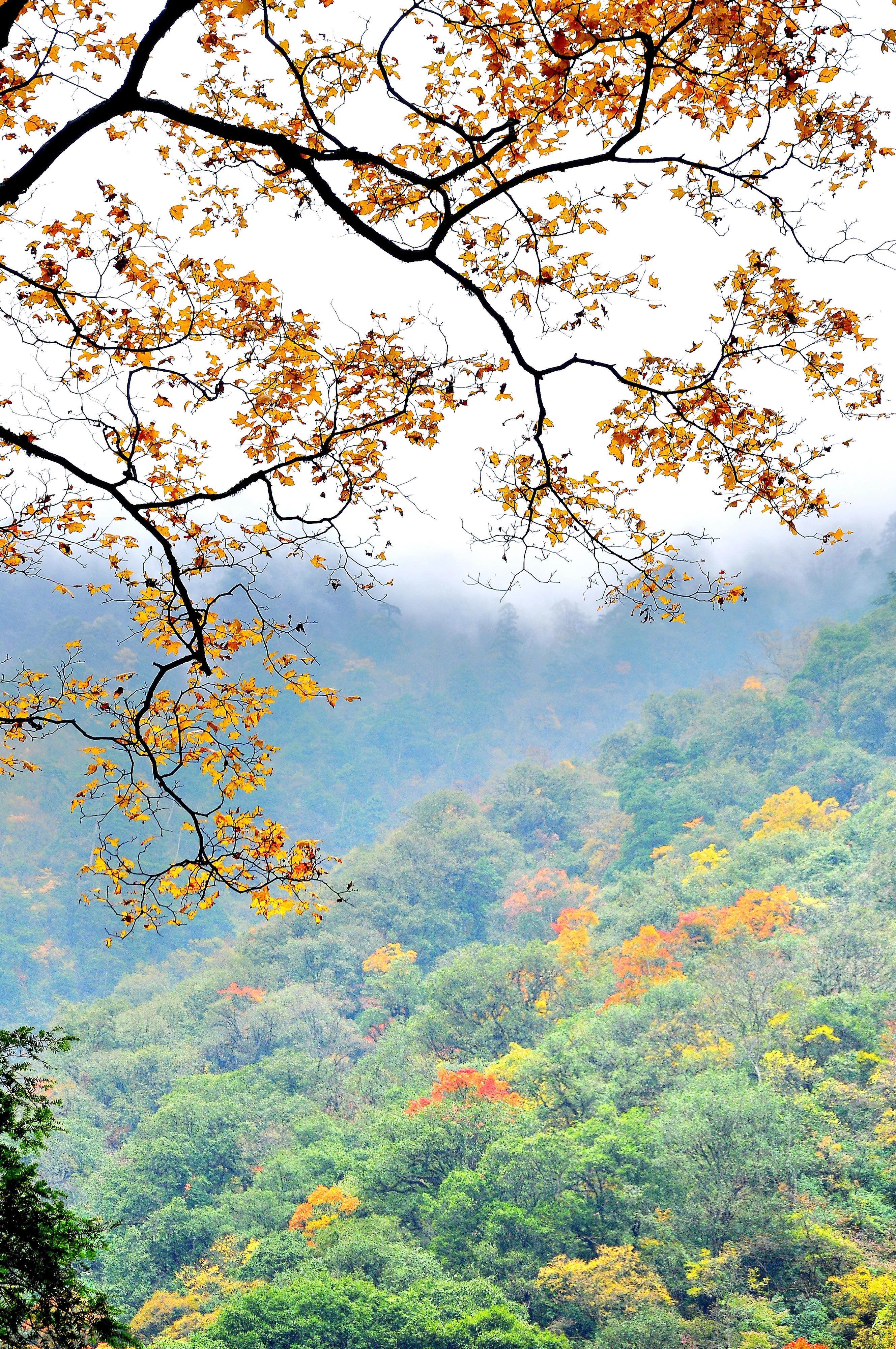 东拉山大峡谷