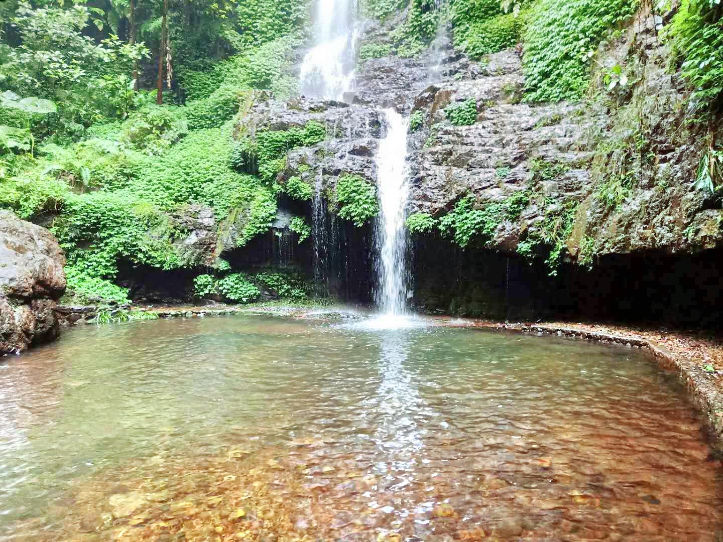 大桂山国家森林公园