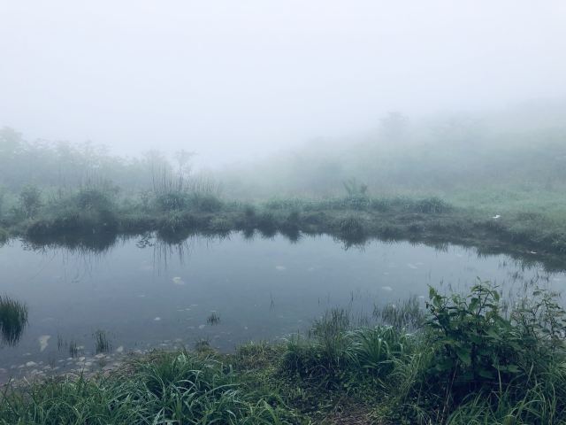 龍游六春湖生態漂流景區攻略-六春湖生態漂流景區門票價格多少錢-團購