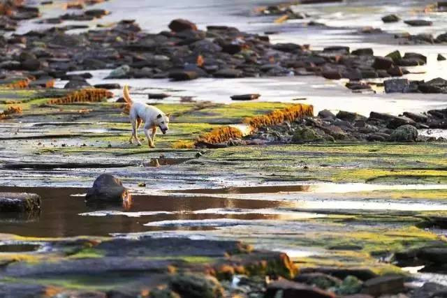 媲美马尔代夫,巴厘岛,国内居然还有个这么美私