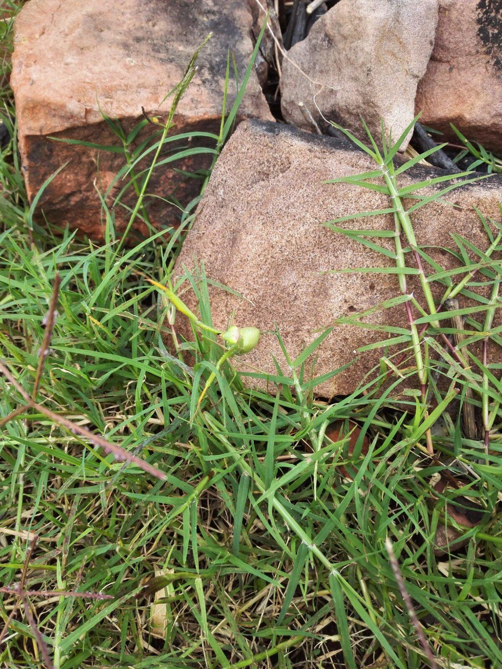 禄丰五台山露营