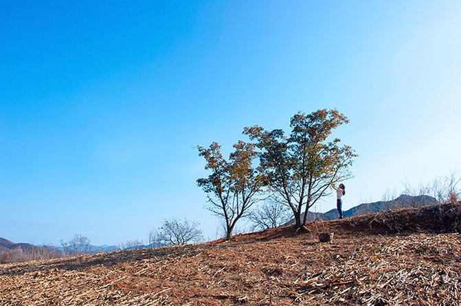 探访京郊农村,过几日诗酒田园的惬意生活