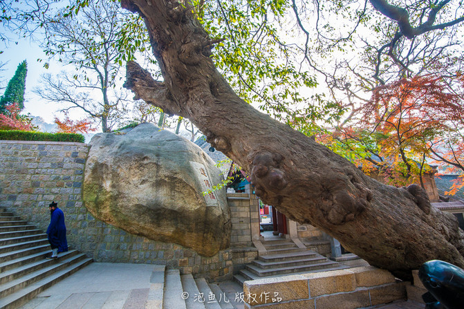 山东 探访崂山太清宫 揭秘崂山道士穿墙术 - 青