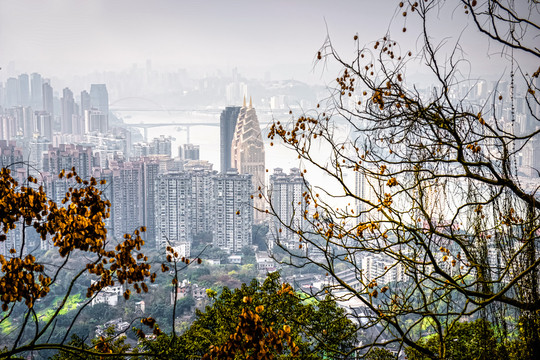 从南天门望出去,可以看到南山下仿建的克莱斯勒大厦.