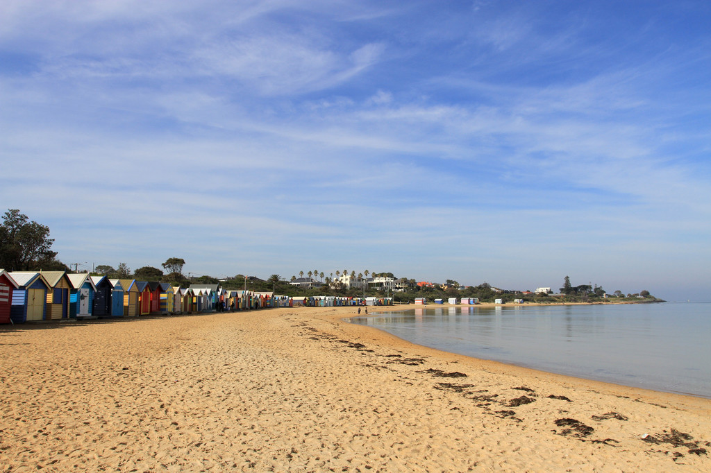 司机小刘是金牌导游,果然贴心,主动带我们来布莱顿海滩观赏彩色小木屋