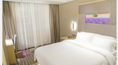 丽枫酒店(深圳龙岗大运中心吉祥地铁站店)1-3