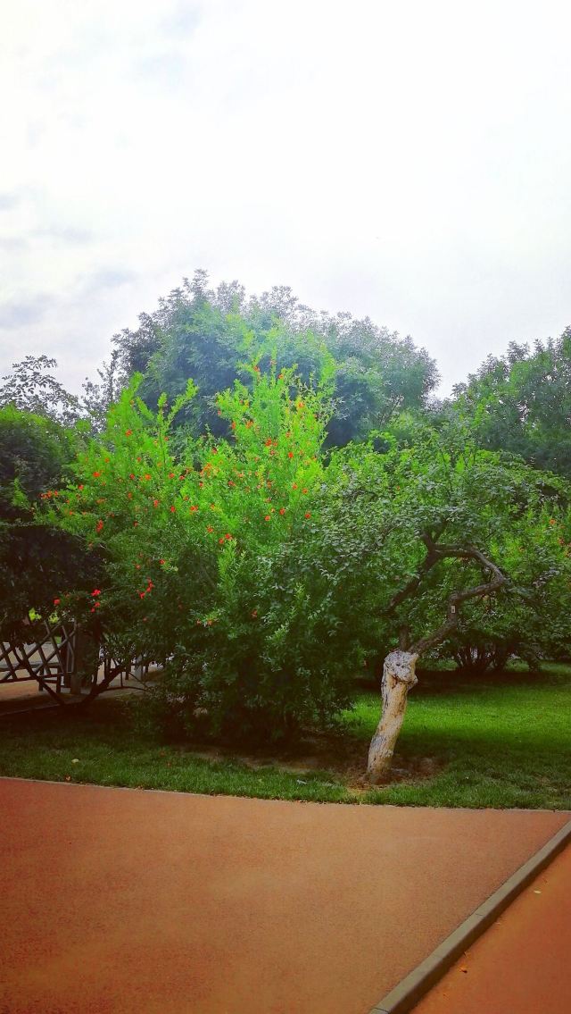 天津复兴公园攻略,天津复兴公园门票/游玩攻略/地址/图片/门票价格