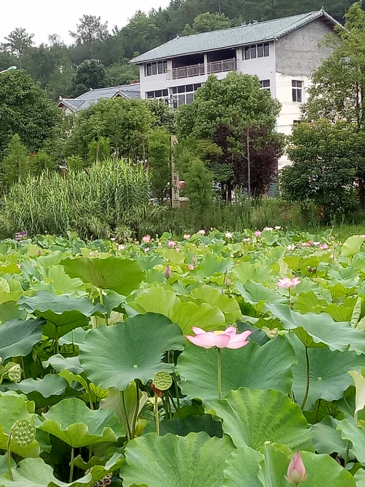 巨石温泉行馆