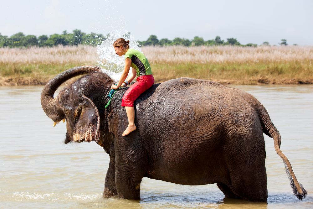 泰国普吉岛 海景大象营地骑大象 Phuket Elephant Ride