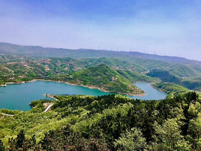 临朐黑松林景区图片图片