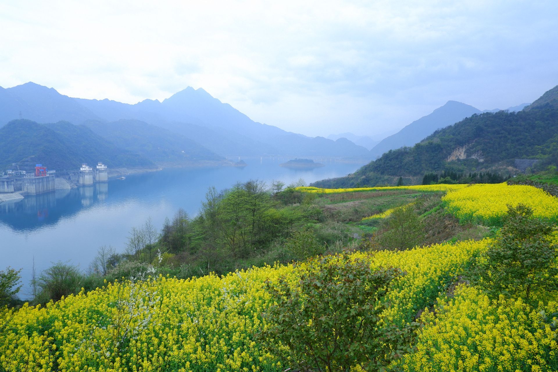 紫坪铺水库