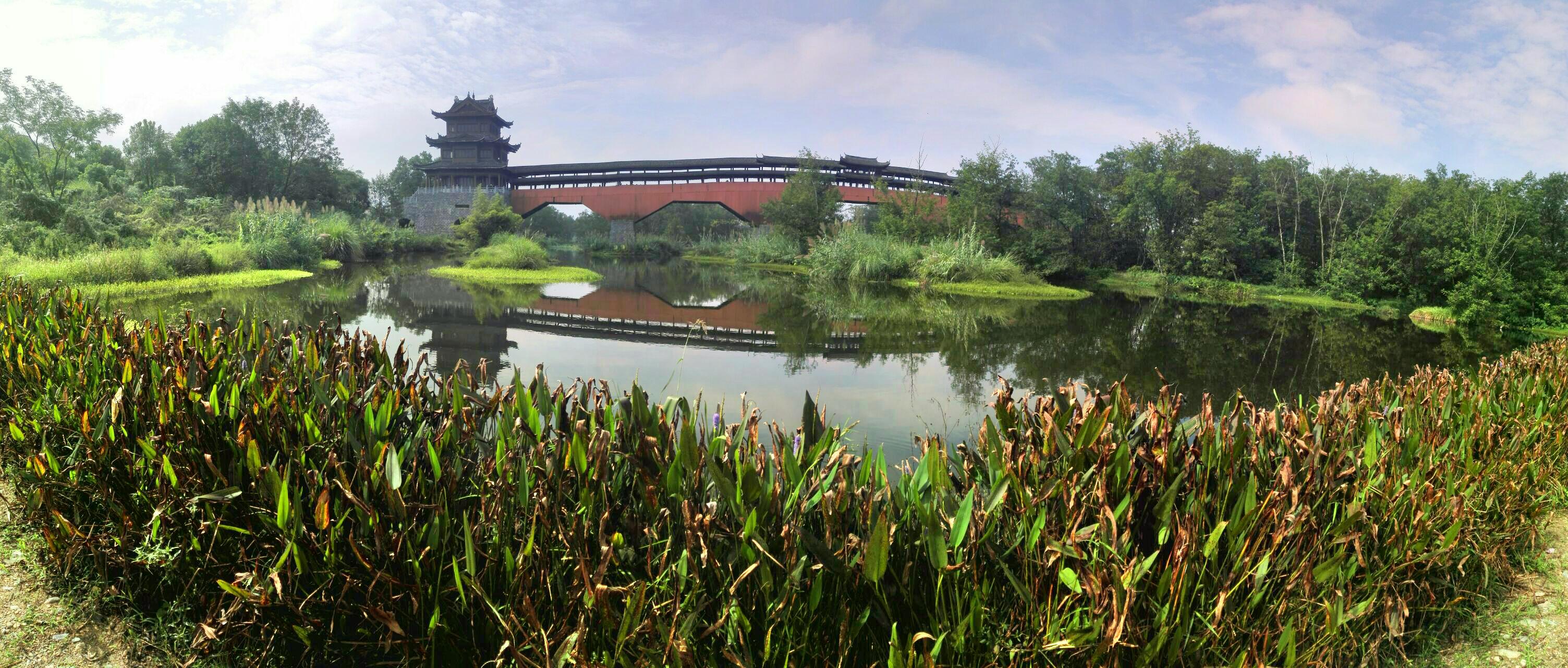 丽水九龙湿地