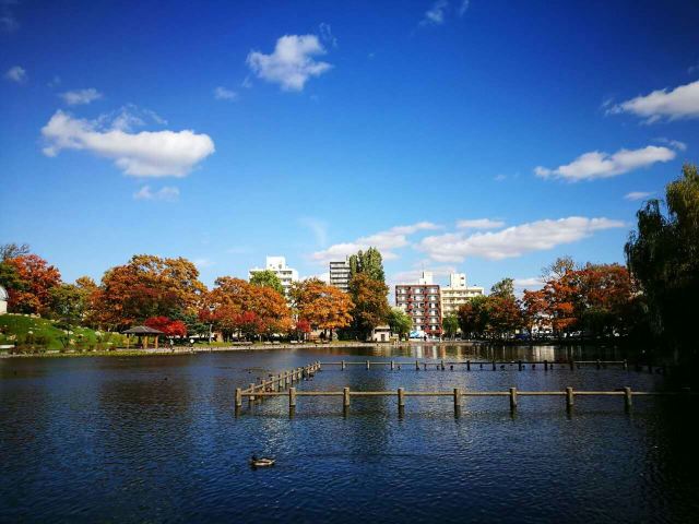 旭川常磐公园攻略 旭川常磐公园门票 游玩攻略 地址 图片 门票价格 携程攻略 旭川常磐公园攻略 旭川常磐公园门票 游玩攻略 地址 图片 门票价格 携程攻略
