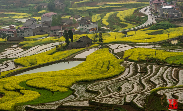 中國美麗田園---漢陰漩渦鎮鳳堰古梯田