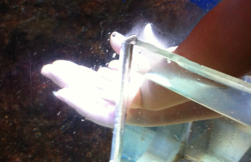 2013第一游- 新加坡、沙巴、香港(1) - 新加坡游