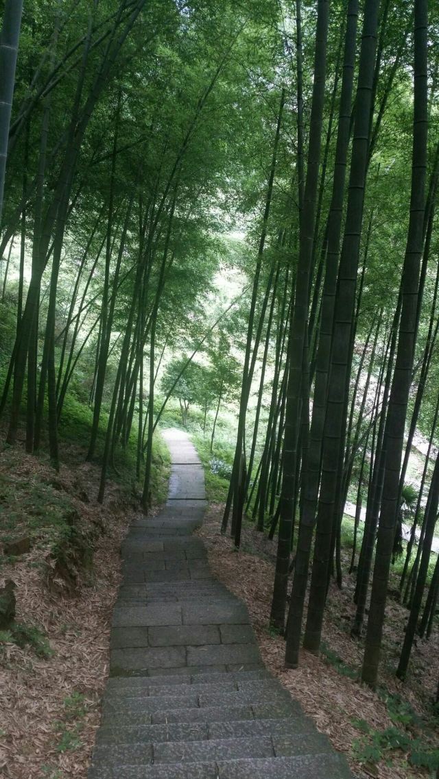 三清山二桥墩攻略,三清山二桥墩门票/游玩攻略/地址/图片/门票价格