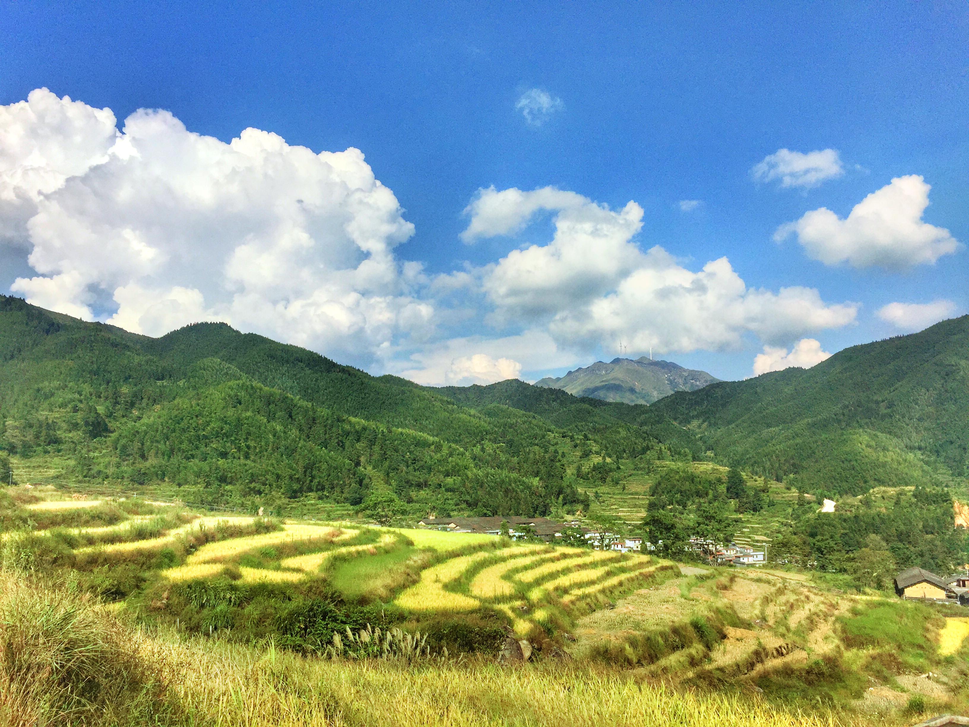 五山梯田